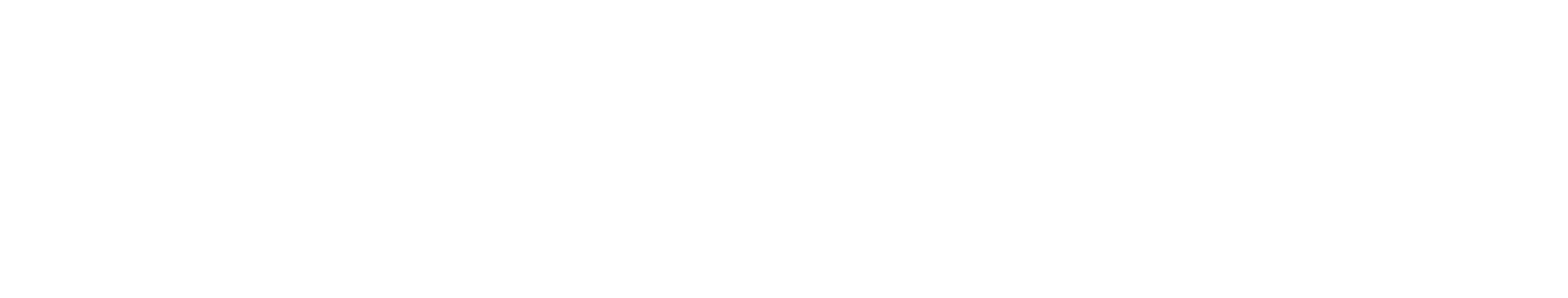 LS SERIES